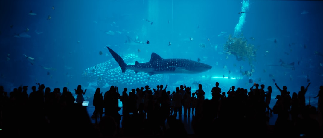 Thrash (2026): Sharks, Storms, and Survival in a Disaster Thriller