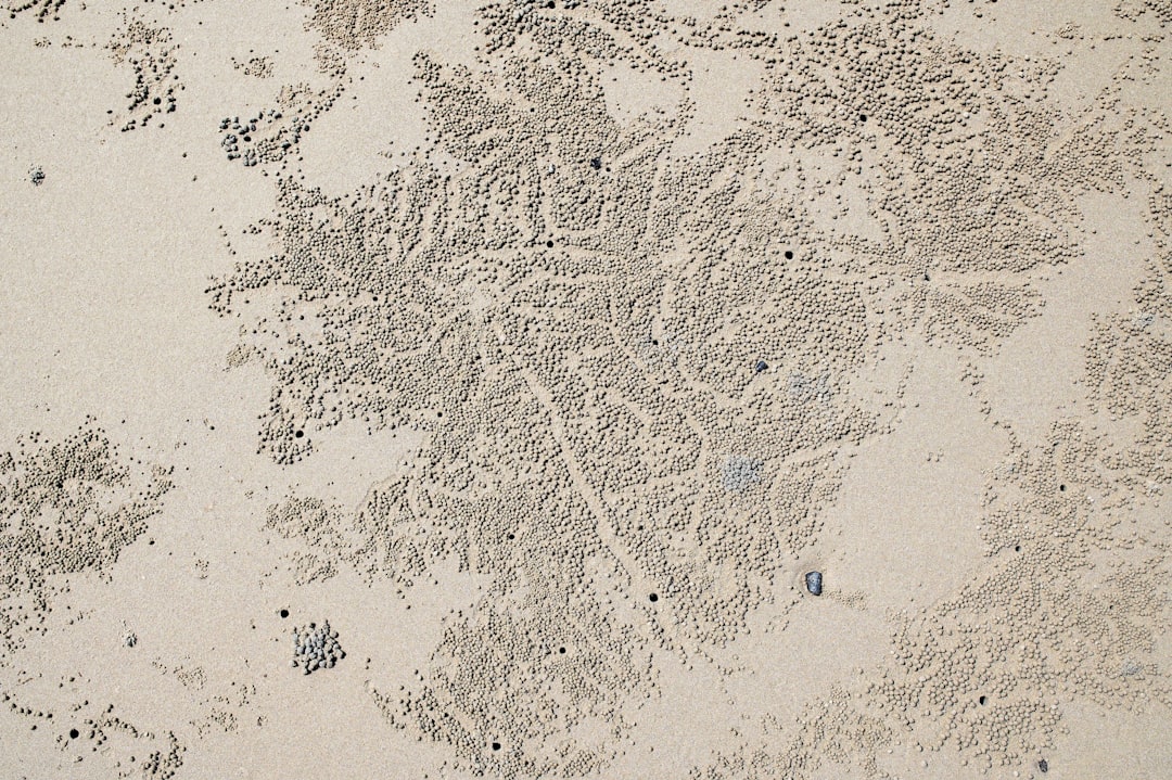 25 Essential Tips for Surviving Your First Hours in Crimson Desert