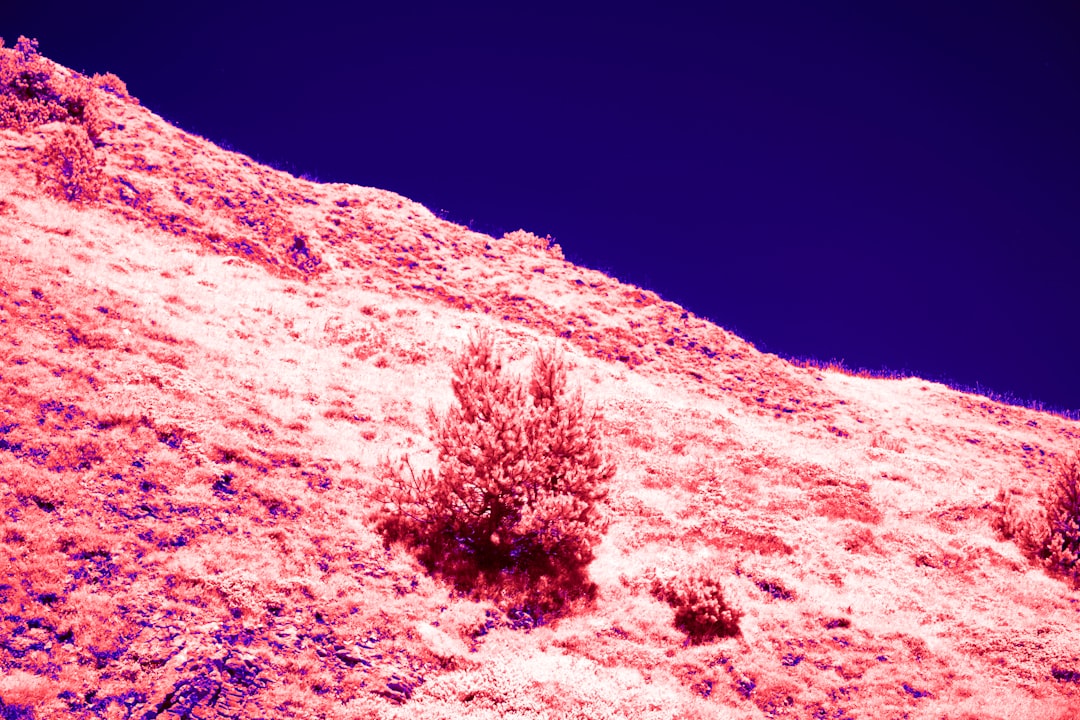 Drill Core Brings Base-Building and Roguelike Strategy to PS5