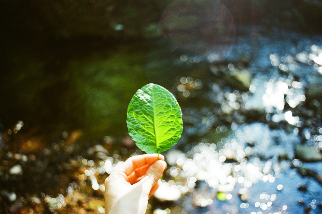 Living Sustainably: Connecting Personal Health to Planetary Health