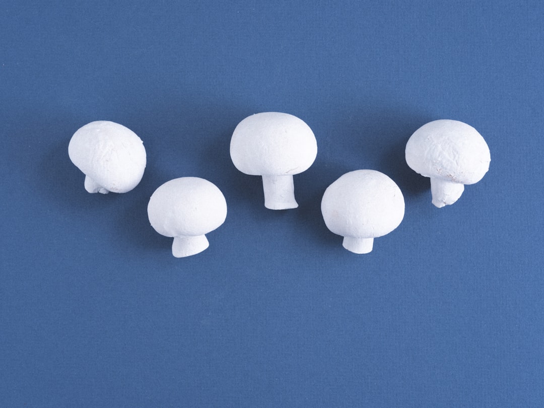 Exploring Reishi Mushrooms in Cancer Treatment Research