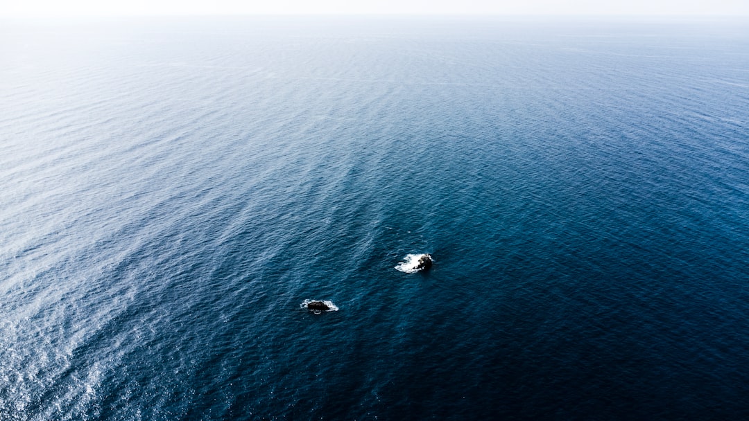 NASA Artemis II Crew Returns with Crucial Deep Space Data