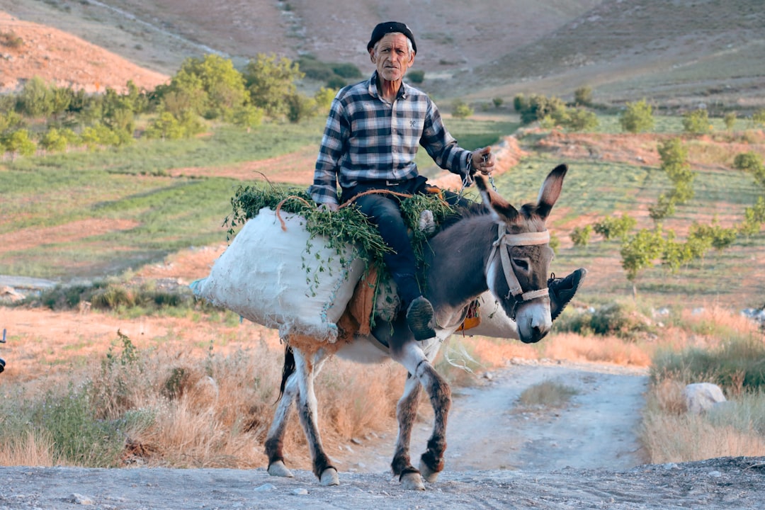 Jackass Forever? The Wild Stunts Continue 25 Years Later