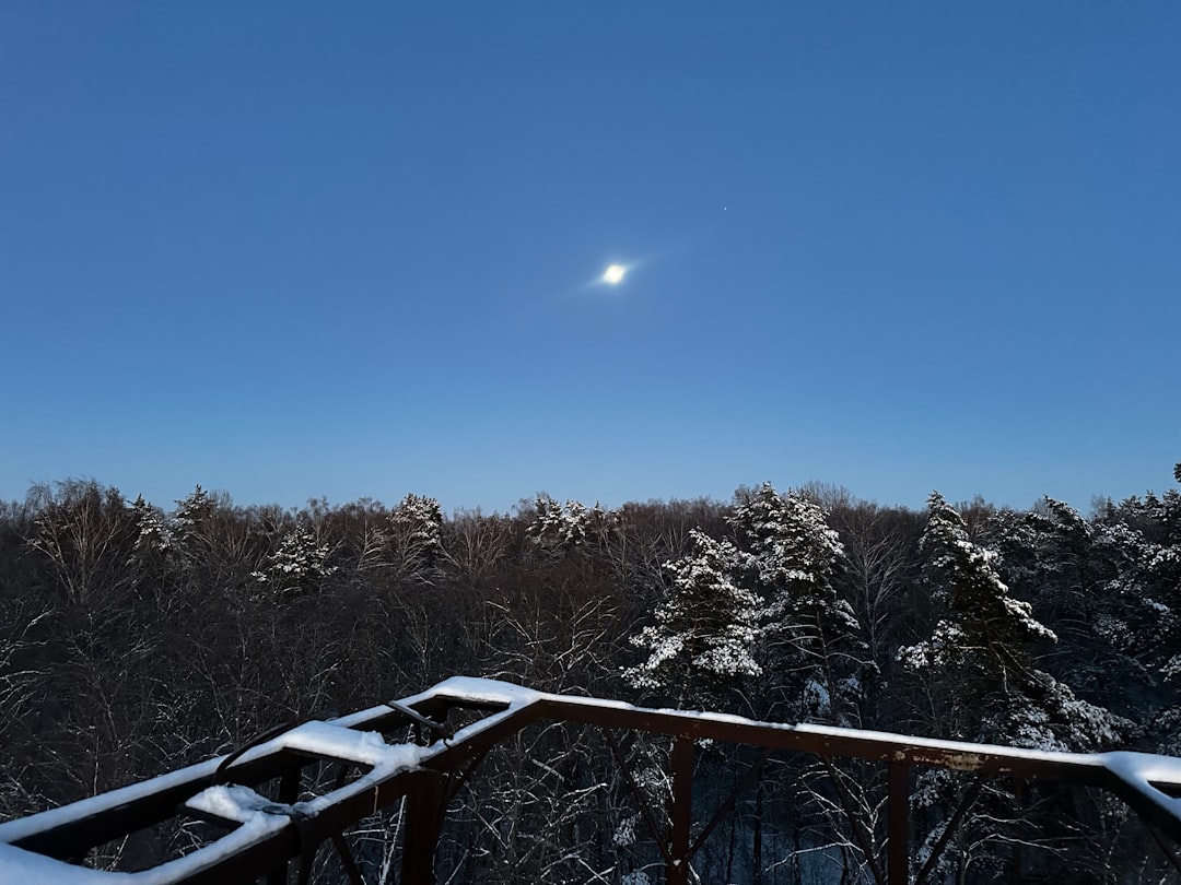 The Daylight Comet of 2026: What We Know So Far