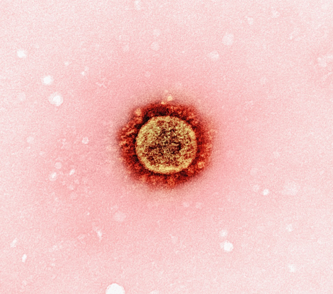 Mutated H3N2 Flu Virus Dominates 2026 Flu Season: What You Should Know