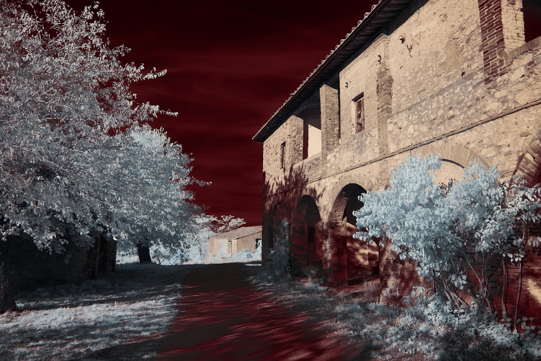 Bloodborne animated movie featuring Jacksepticeye announced