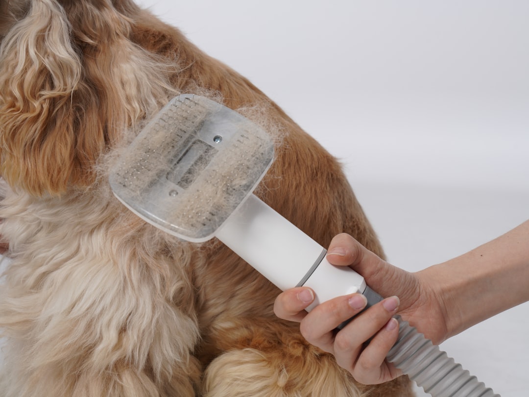 How an AI Expert Used ChatGPT to Create a Cancer Vaccine for His Dog