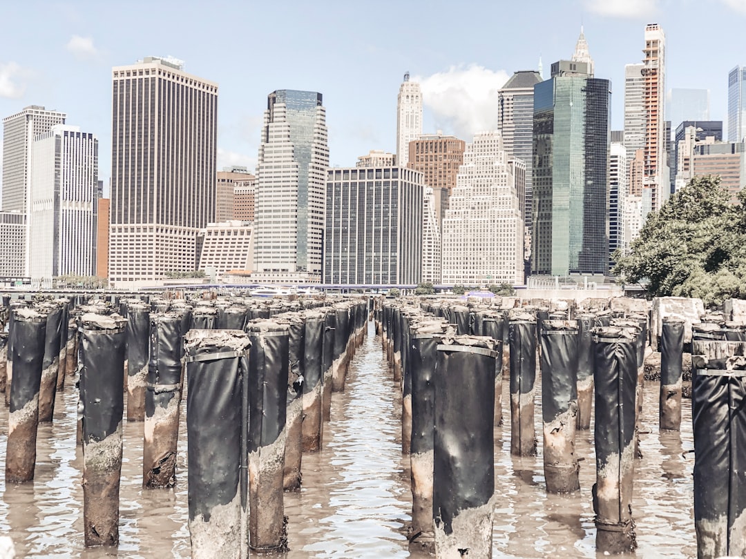 Flesh-eating bacteria and environmental crises emerge in New York waterways