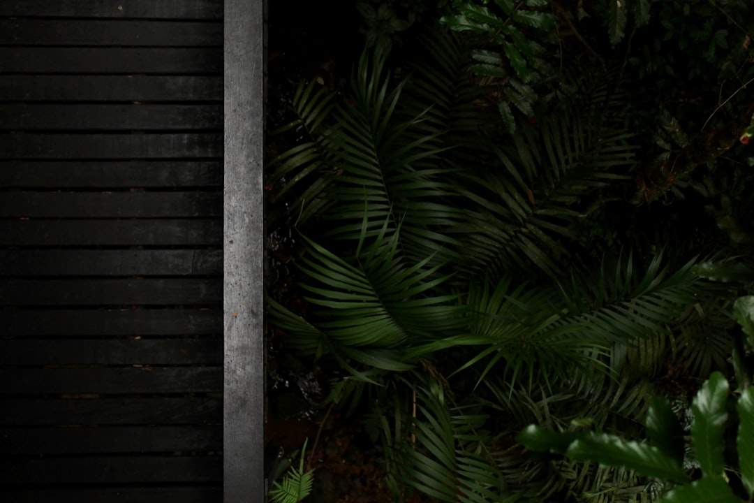 Indie Games to Watch This Week: March 23-29, 2026