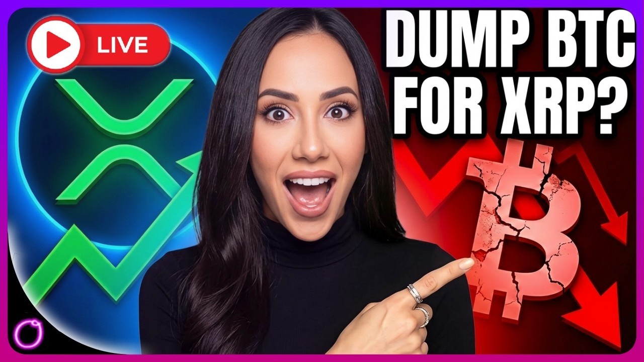 Should XRP Be a Staple in Every Investment Portfolio?