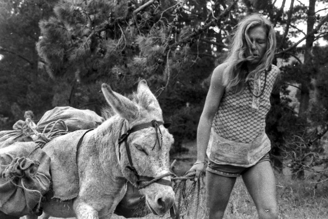 'Jackass: Best and Last' promises chaos one final time