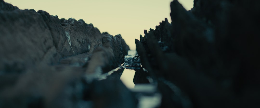 Above Land: Rhapsody – Official Reveal Trailer Teases Chaos, Humor, and Giant Kun