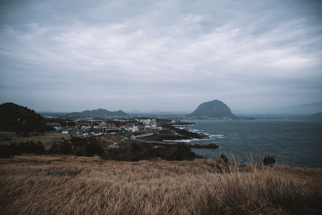 Solo Leveling: Arise Overdrive announces Jeju Island story update