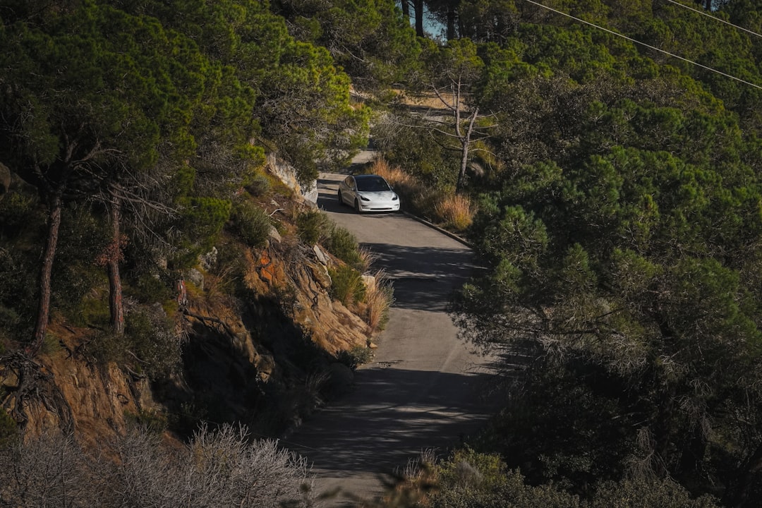 Electric resurgence? Tesla and the question of zero-plan confidence